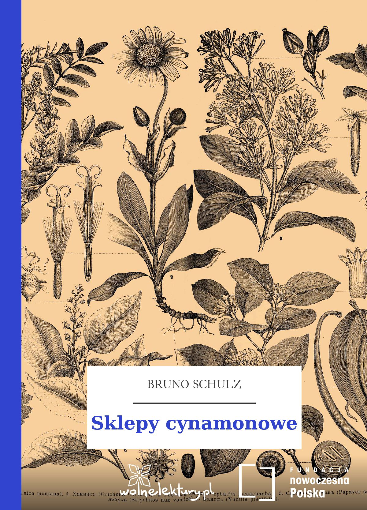 Sklepy cynamonowe
