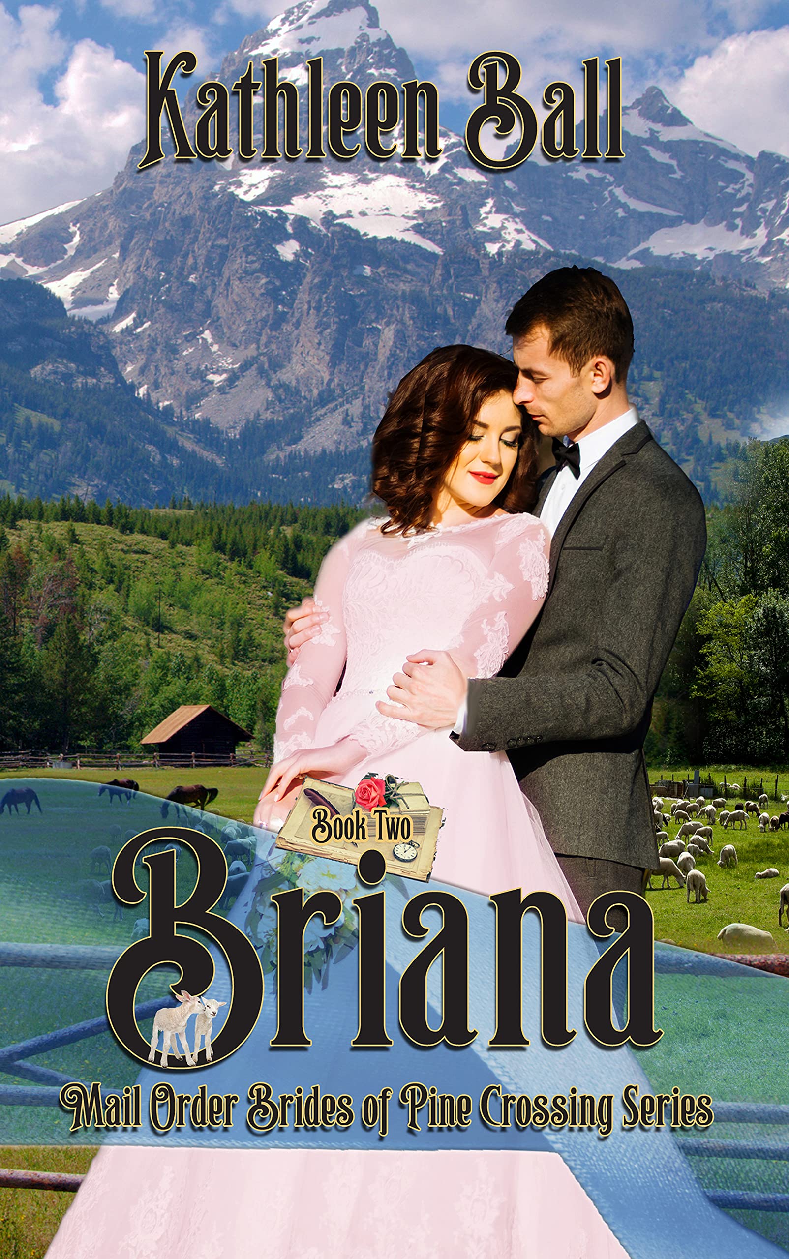 Briana book cover