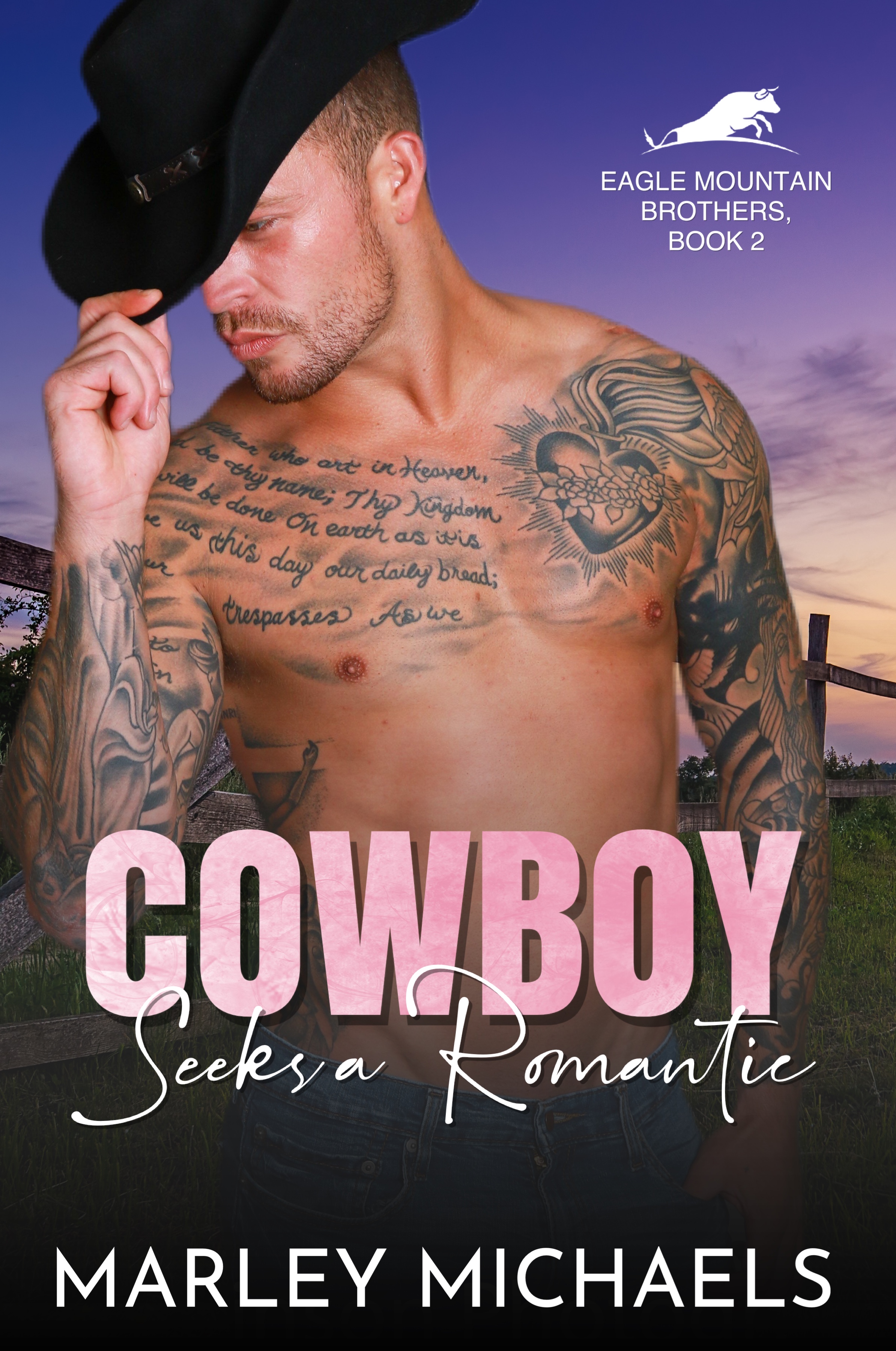 Cowboy Seeks a Romantic