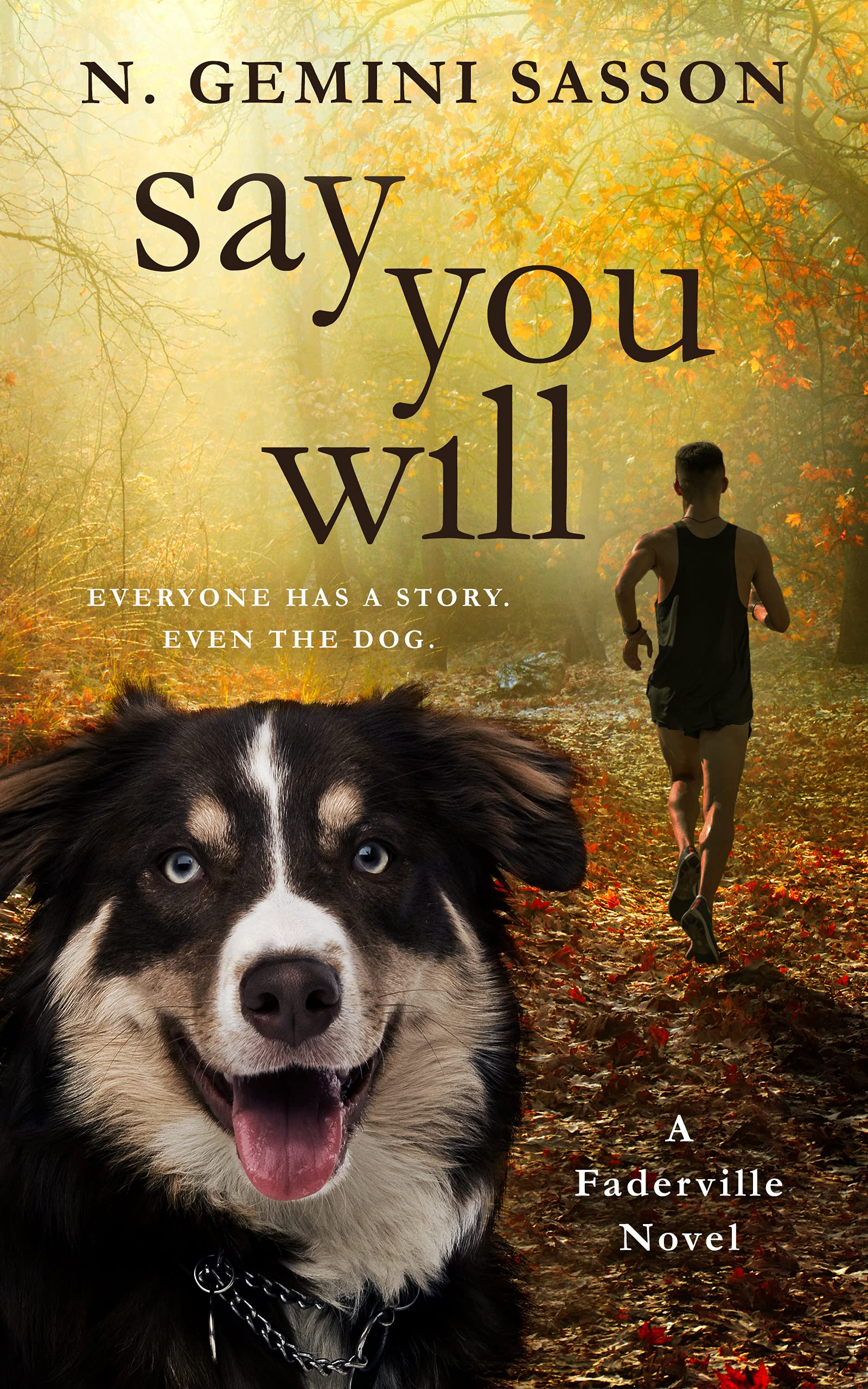 Say You Will