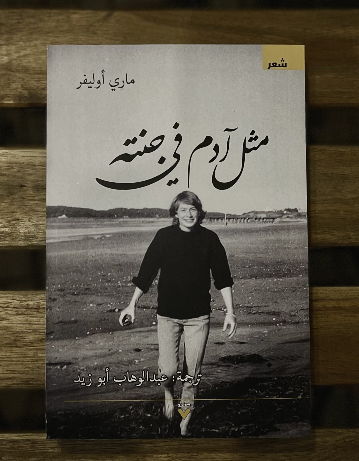 مثل آدم في جنته book cover