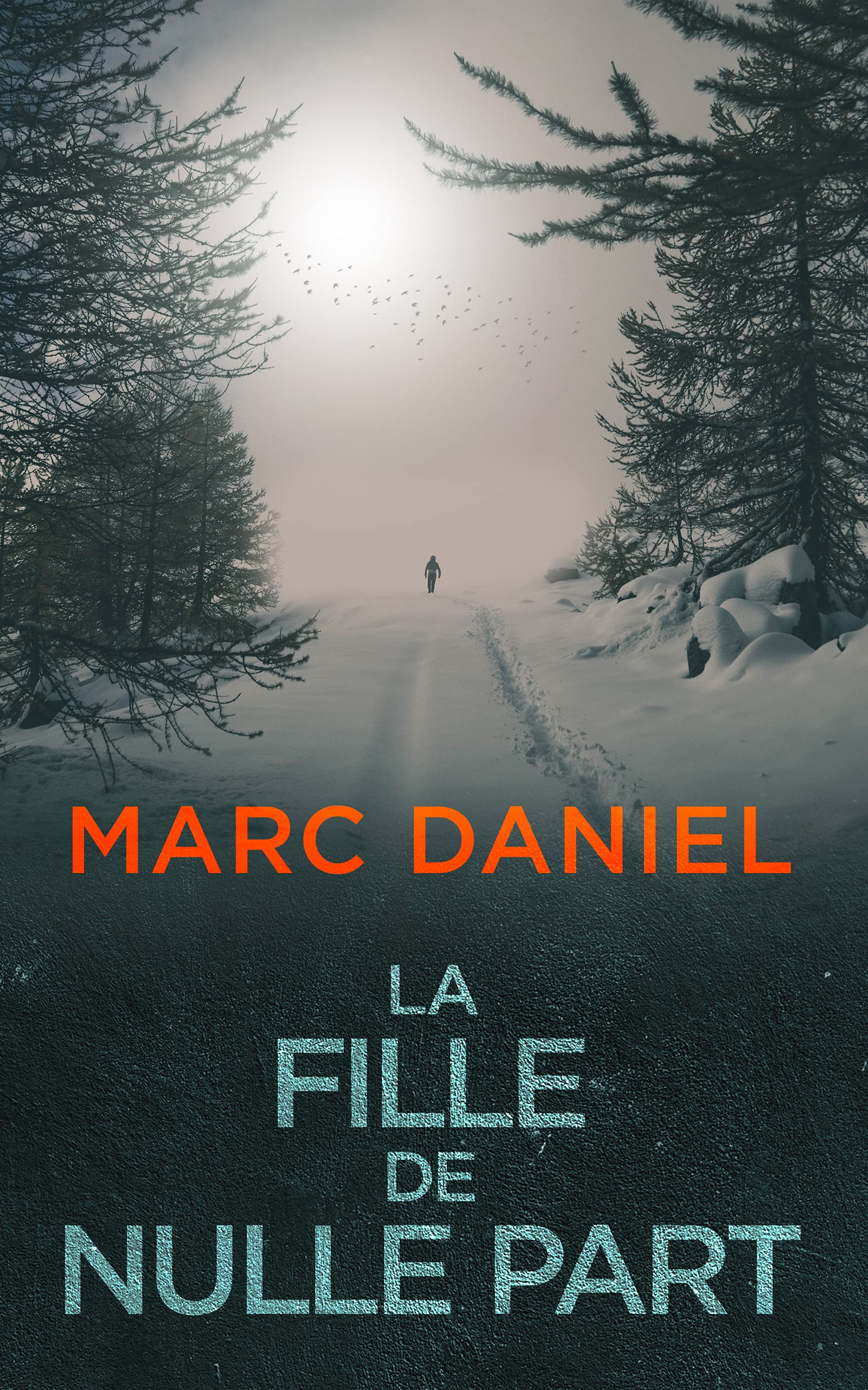La Fille de Nulle Part (Ethan Archer t. 1)