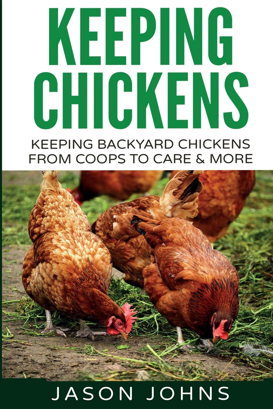 Keeping Chickens For Beginners Keeping Backyard Chickens From Coops To