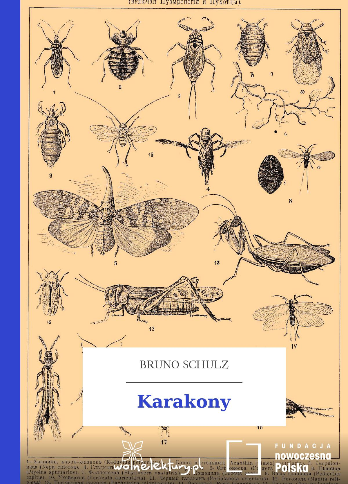 Karakony book cover