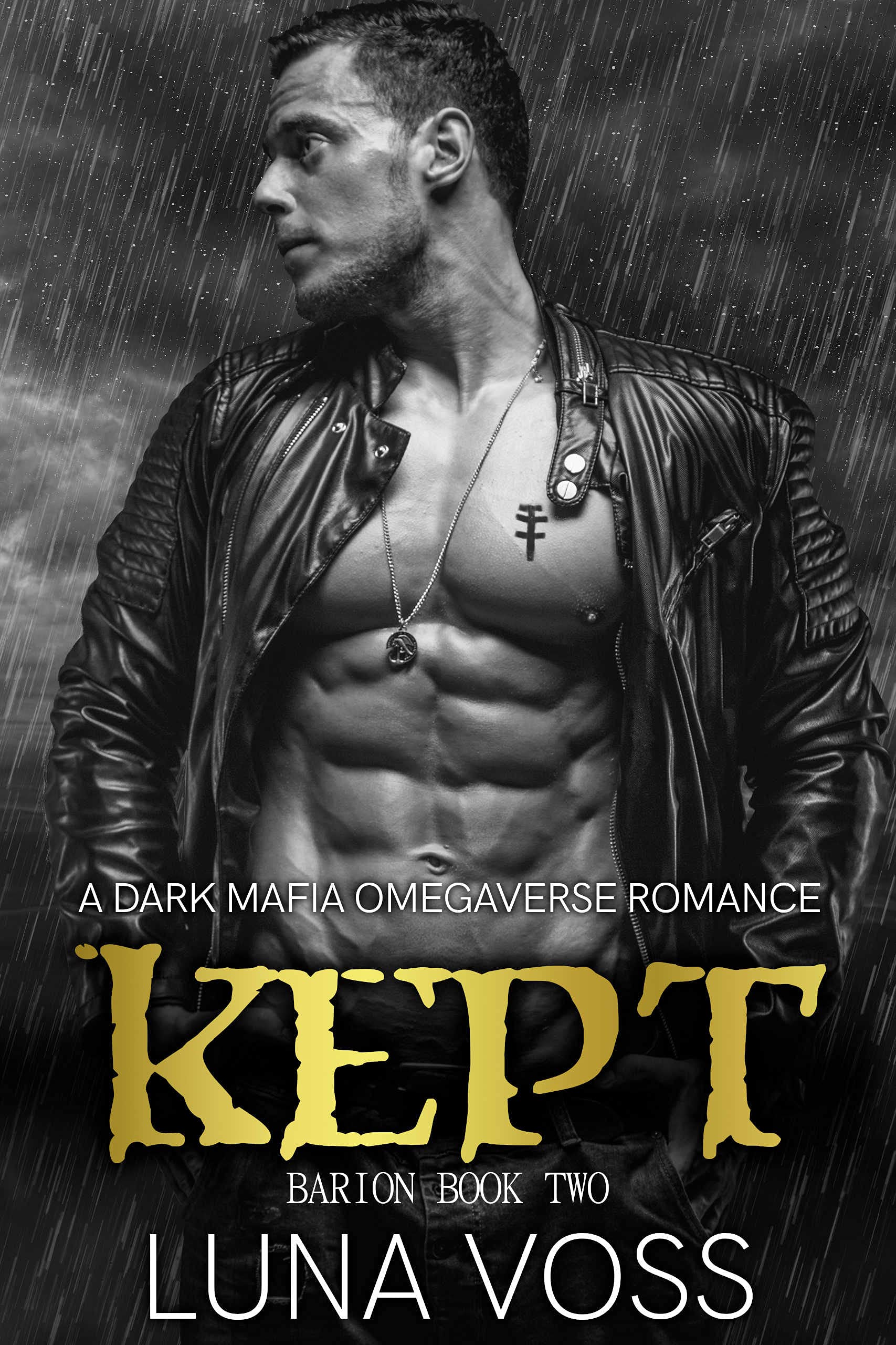 Barion book cover 2
