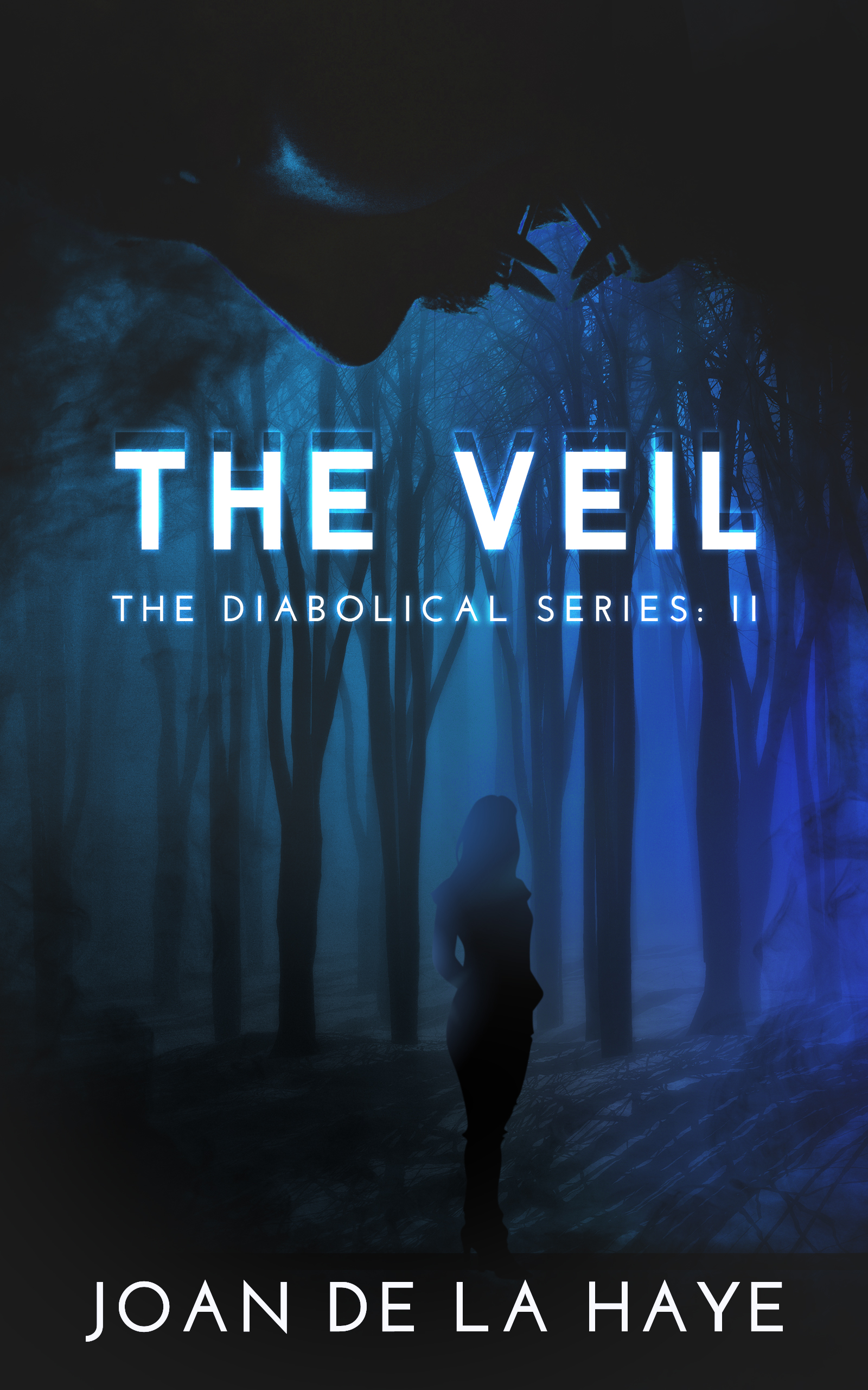 The Veil book cover