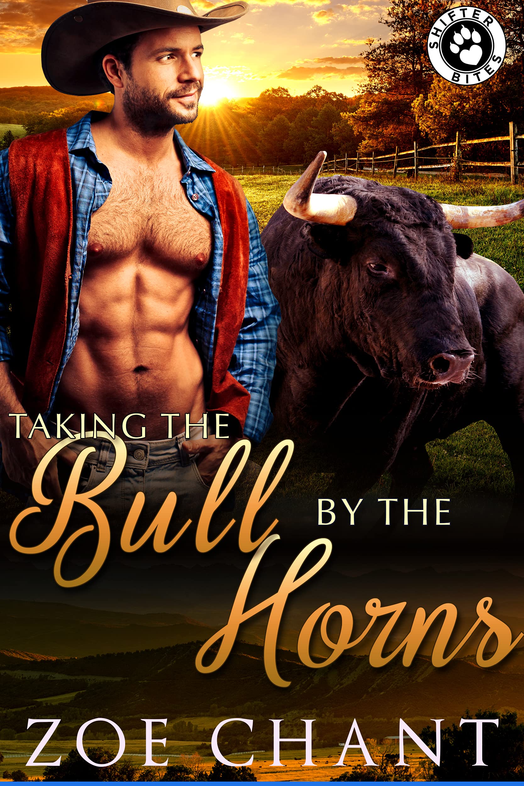 Taking the Bull by the Horns book cover