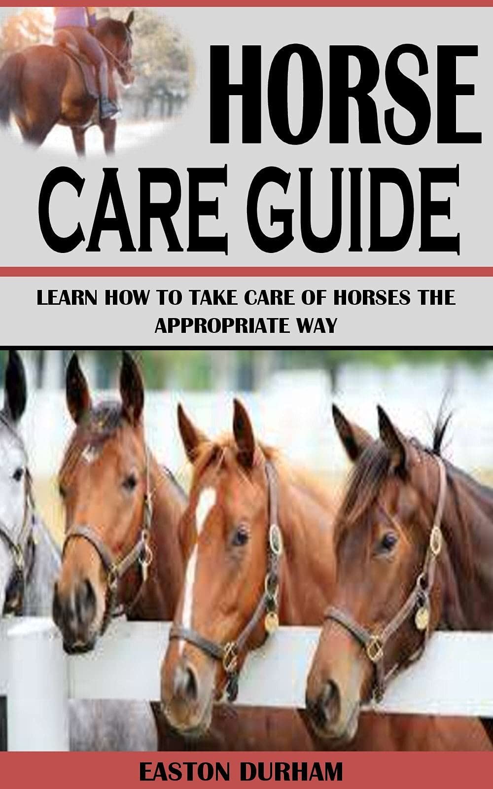 HORSE CARE GUIDE Learn How To Take Care Of Horses The Appropriate Way