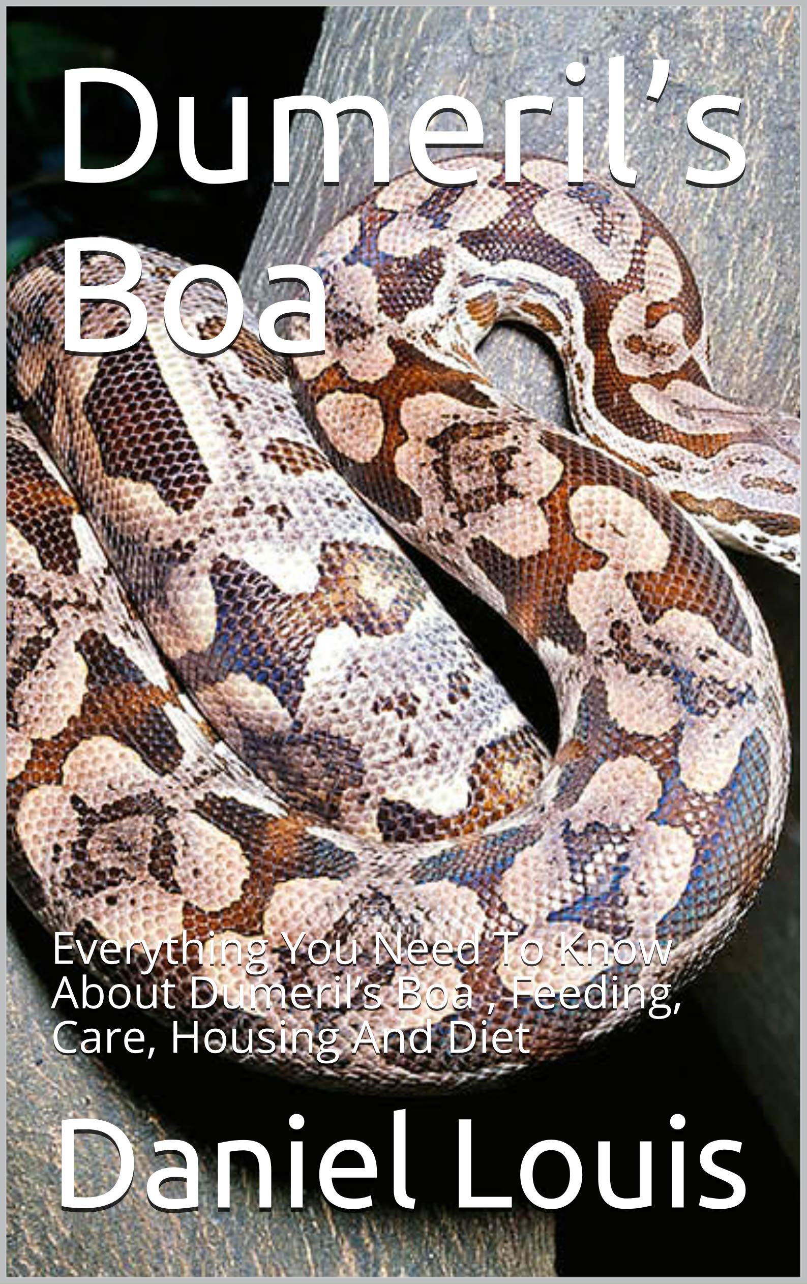 Dumeril’s Boa: Everything You Need To Know About Dumeril’s Boa ...