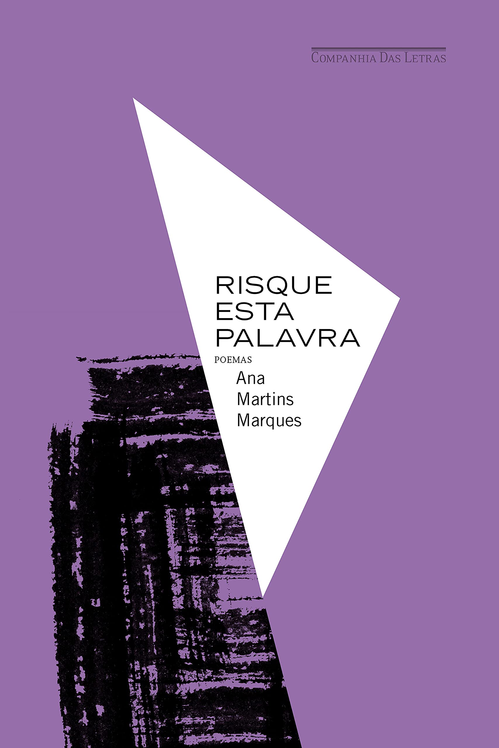 Risque esta palavra book cover