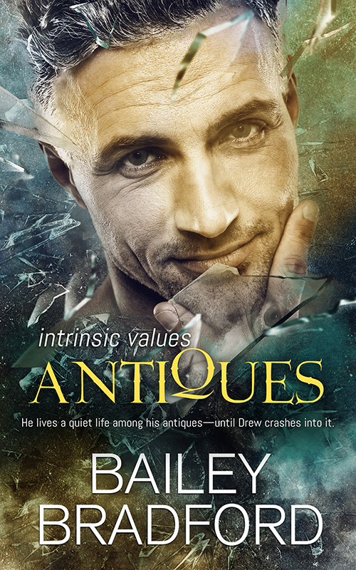 Antiques book cover