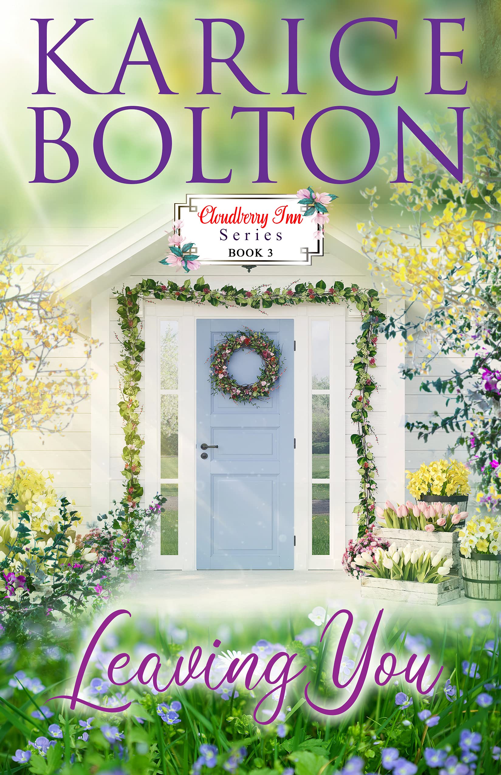 The Cloudberry Inn Series book cover 3