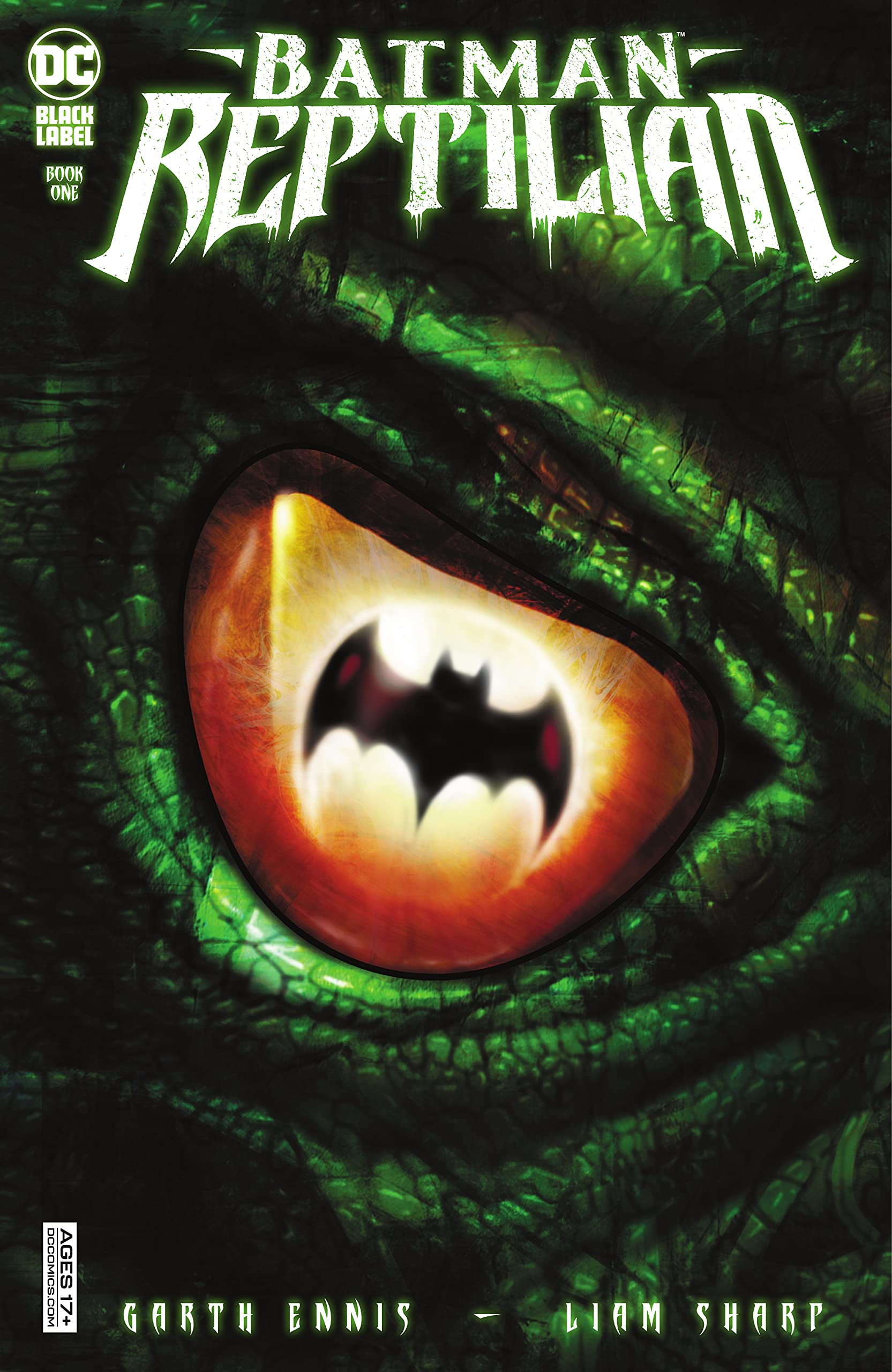 Batman book cover