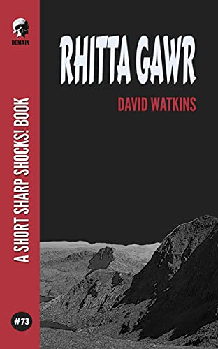 Rhitta Gawr book cover