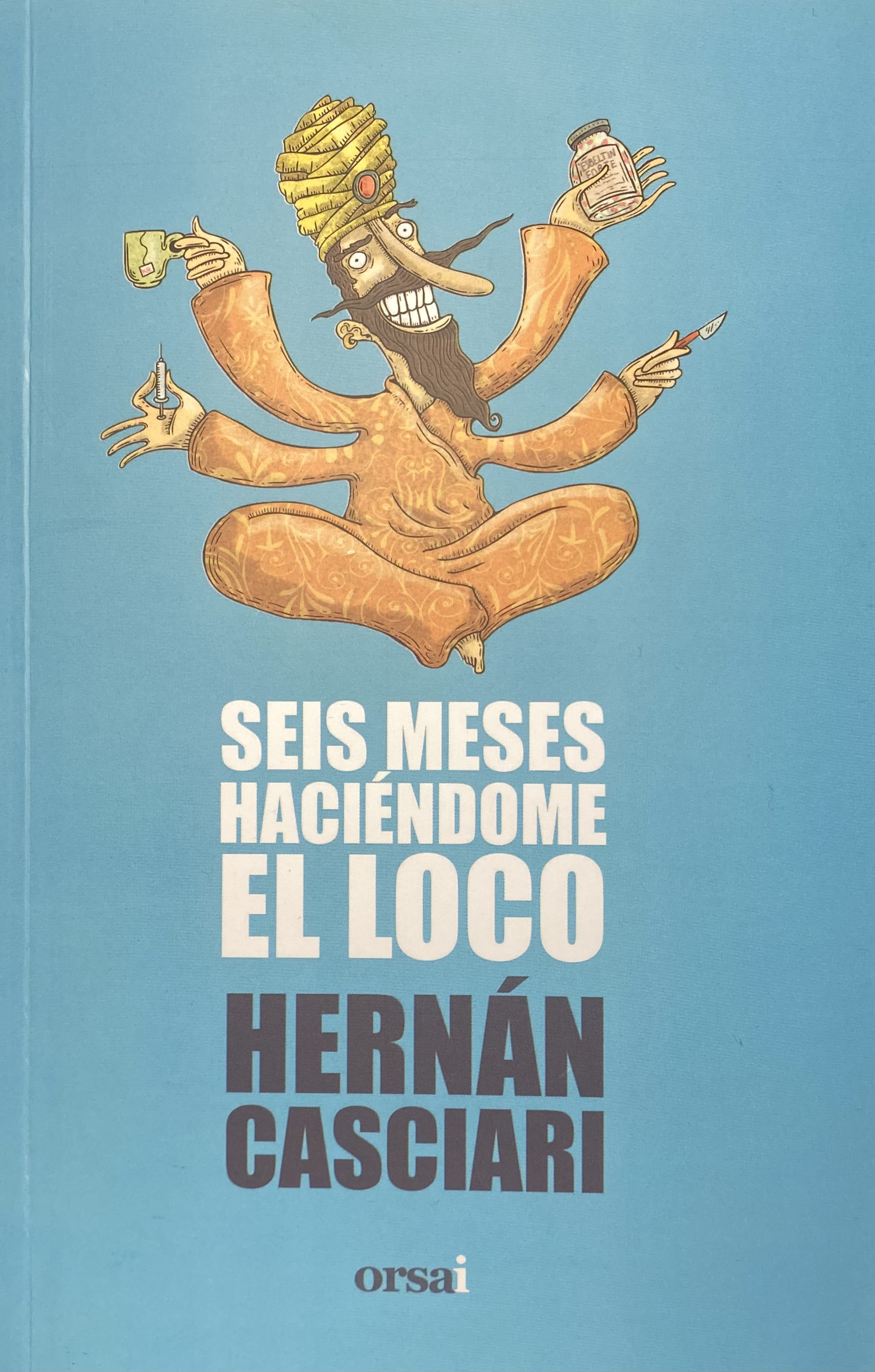 Seis meses haciéndome el loco book cover