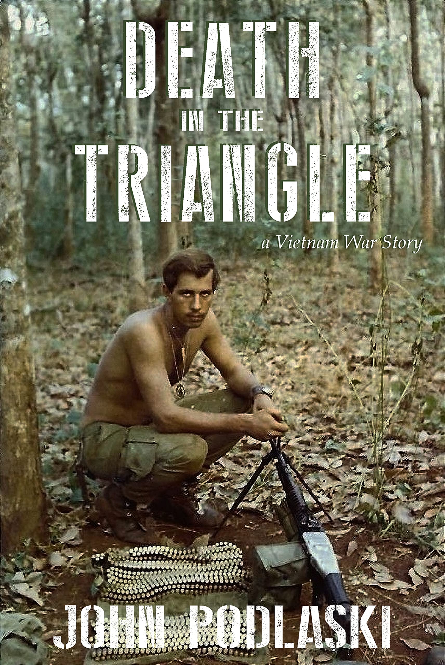 Death in the Triangle: A Vietnam War Story