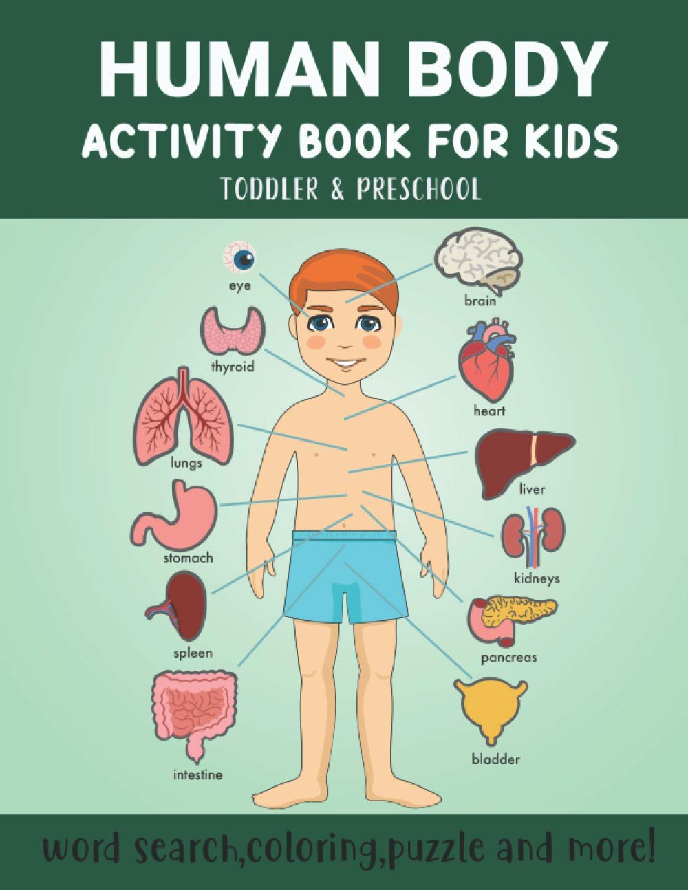 human-body-activity-book-for-kids-toddler-preschool-human-organ-name