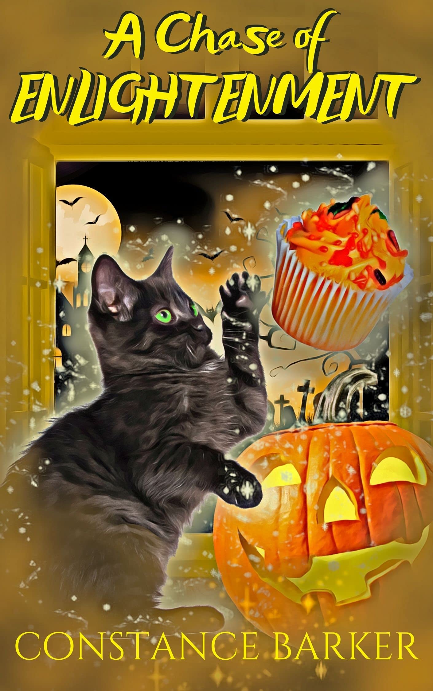 A Chase of Enlightenment book cover