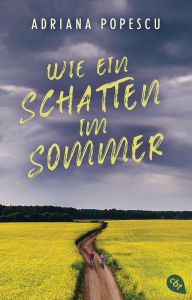Wie ein Schatten im Sommer book cover