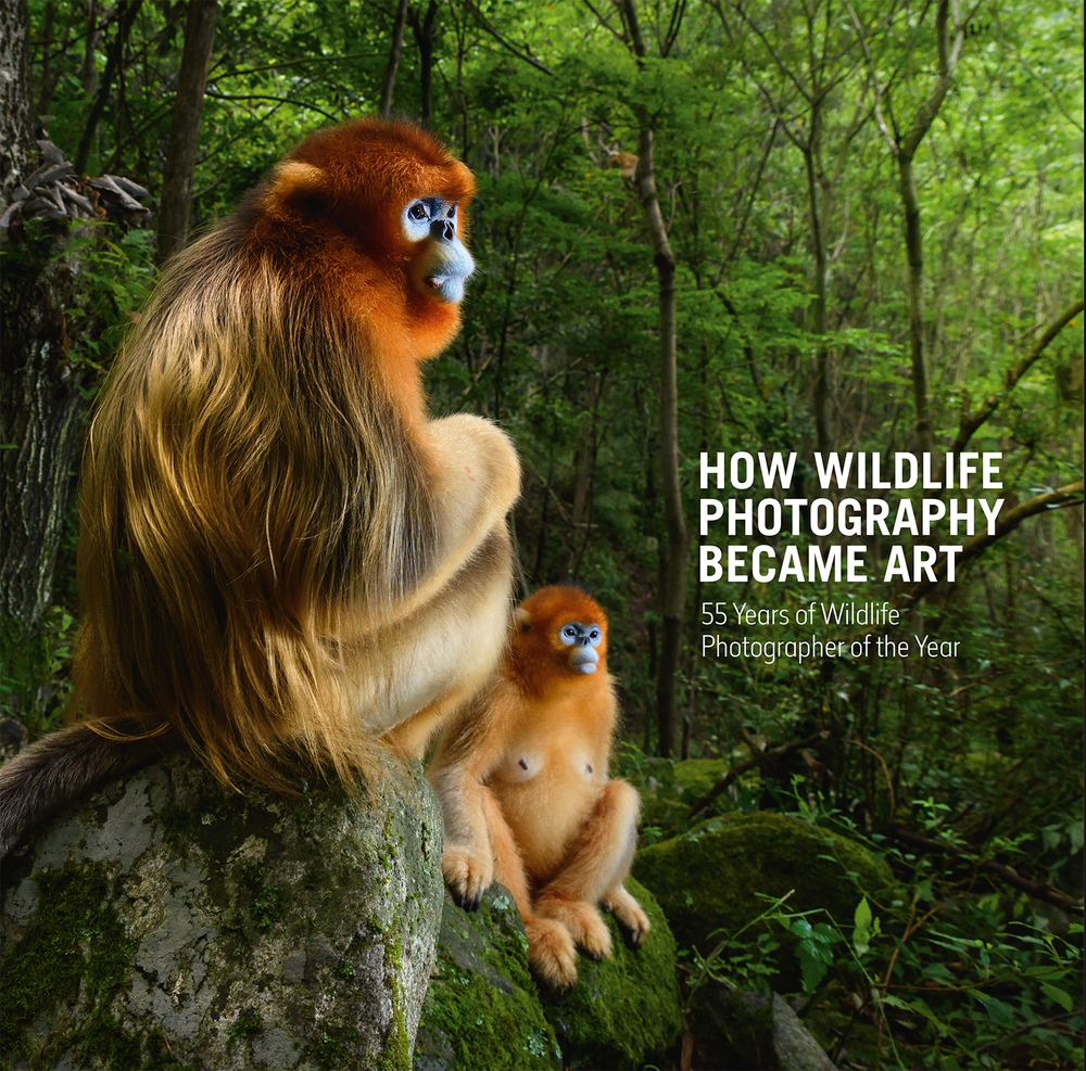 How Wildlife Photography Became Art book cover