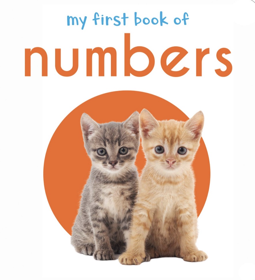 My First Book of Numbers: First Board Book
