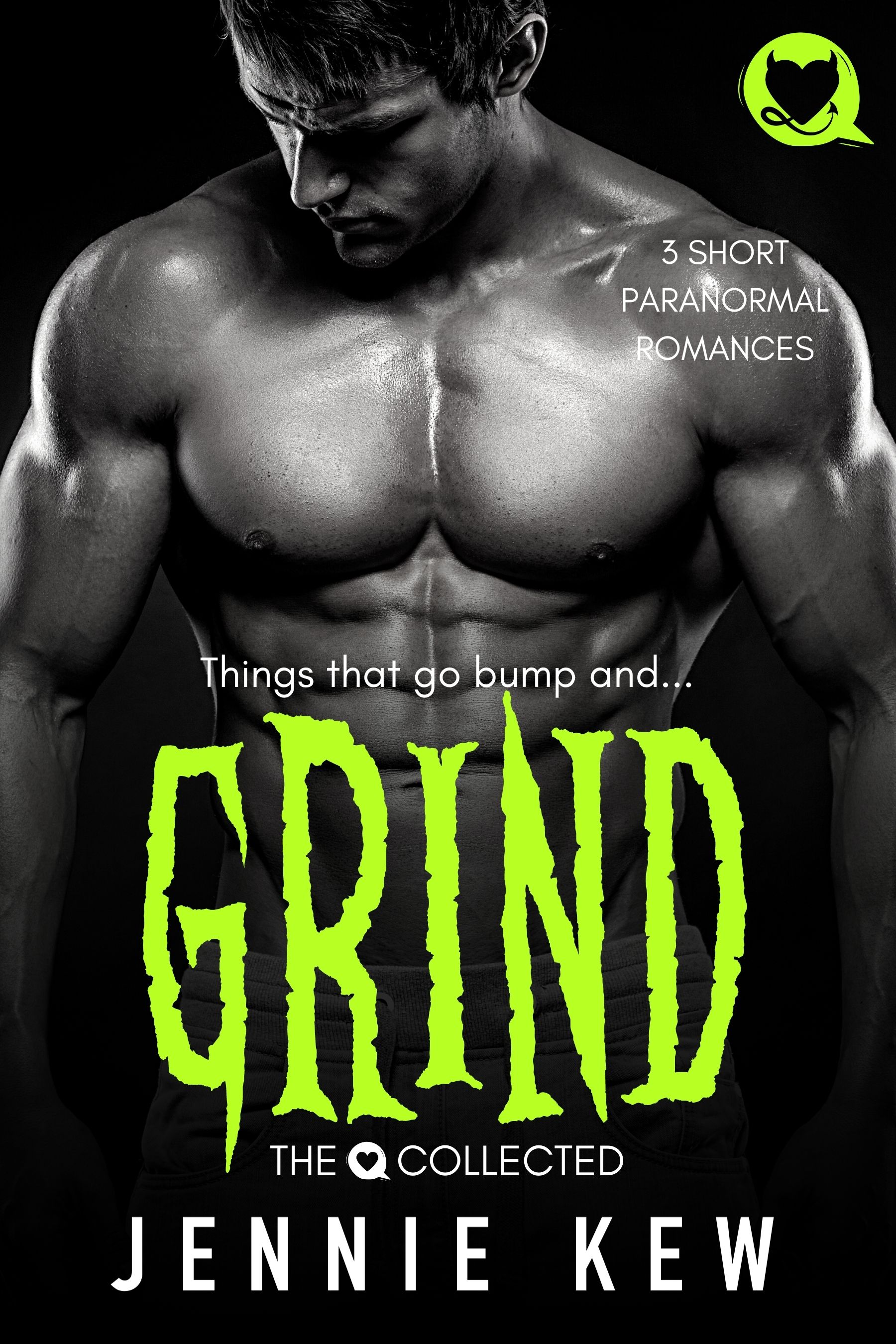 The Q Collected book cover 1