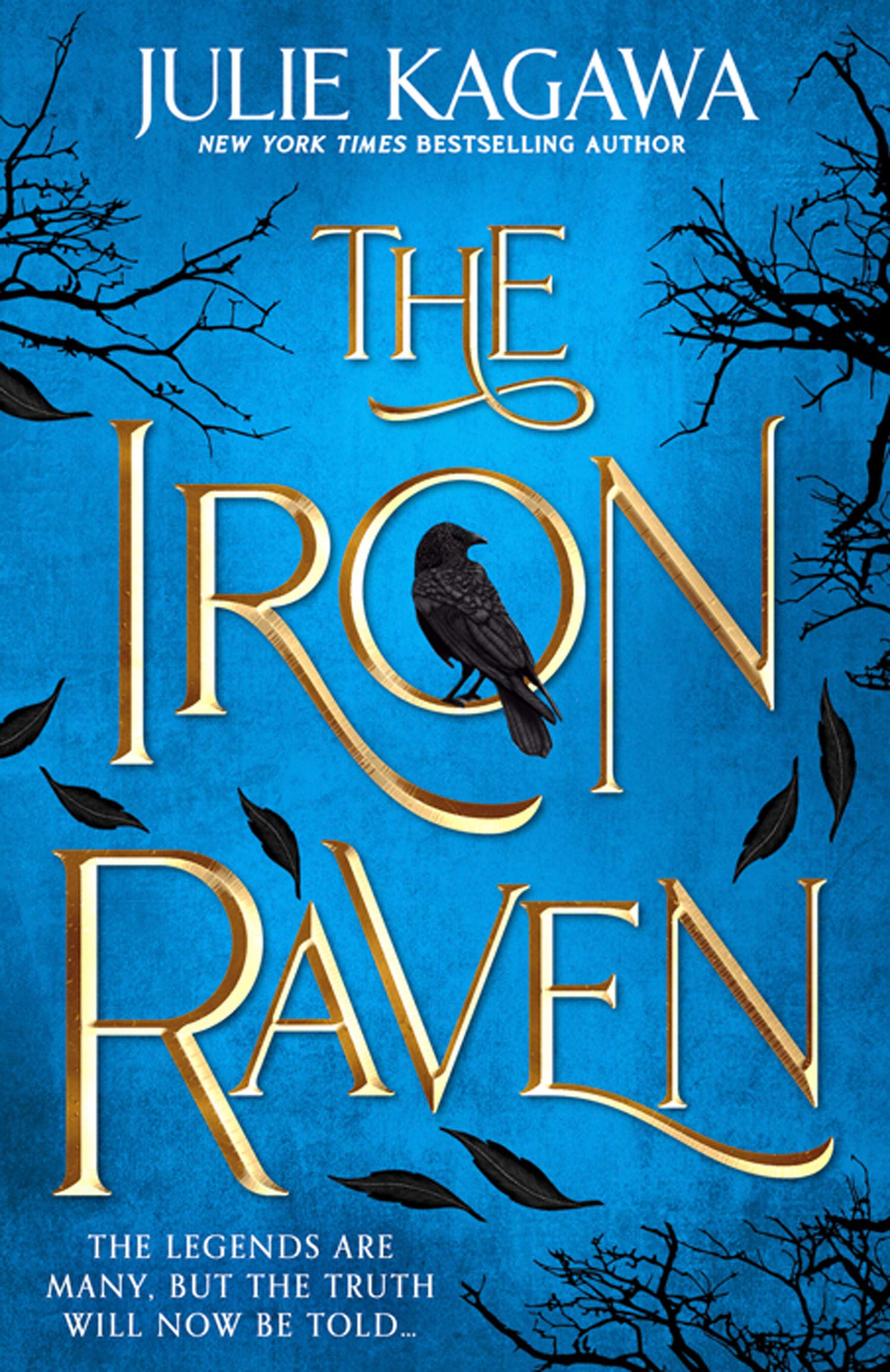 The Iron Raven (The Iron Fey: Evenfall, #1)
