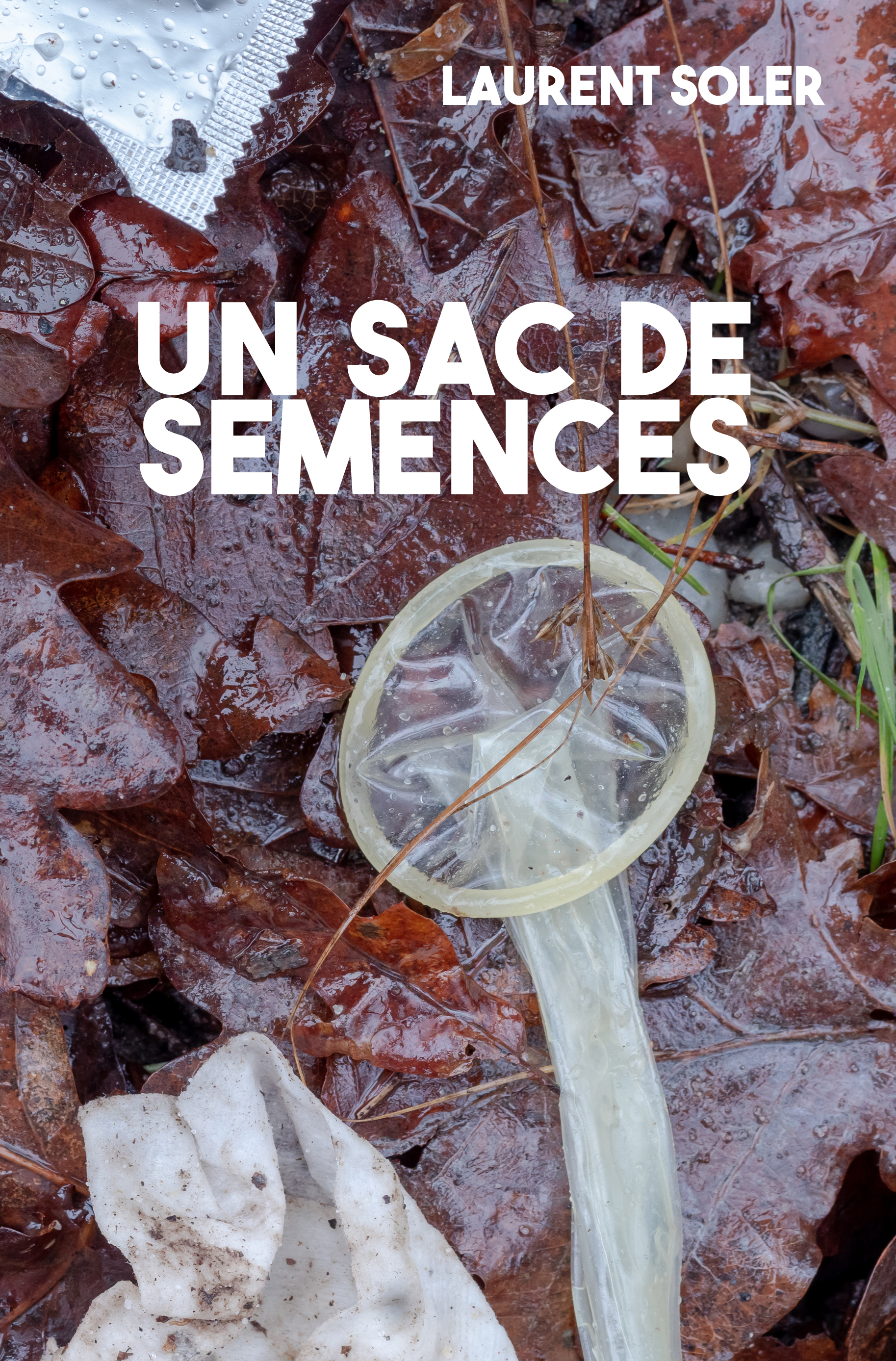 Un sac de semences