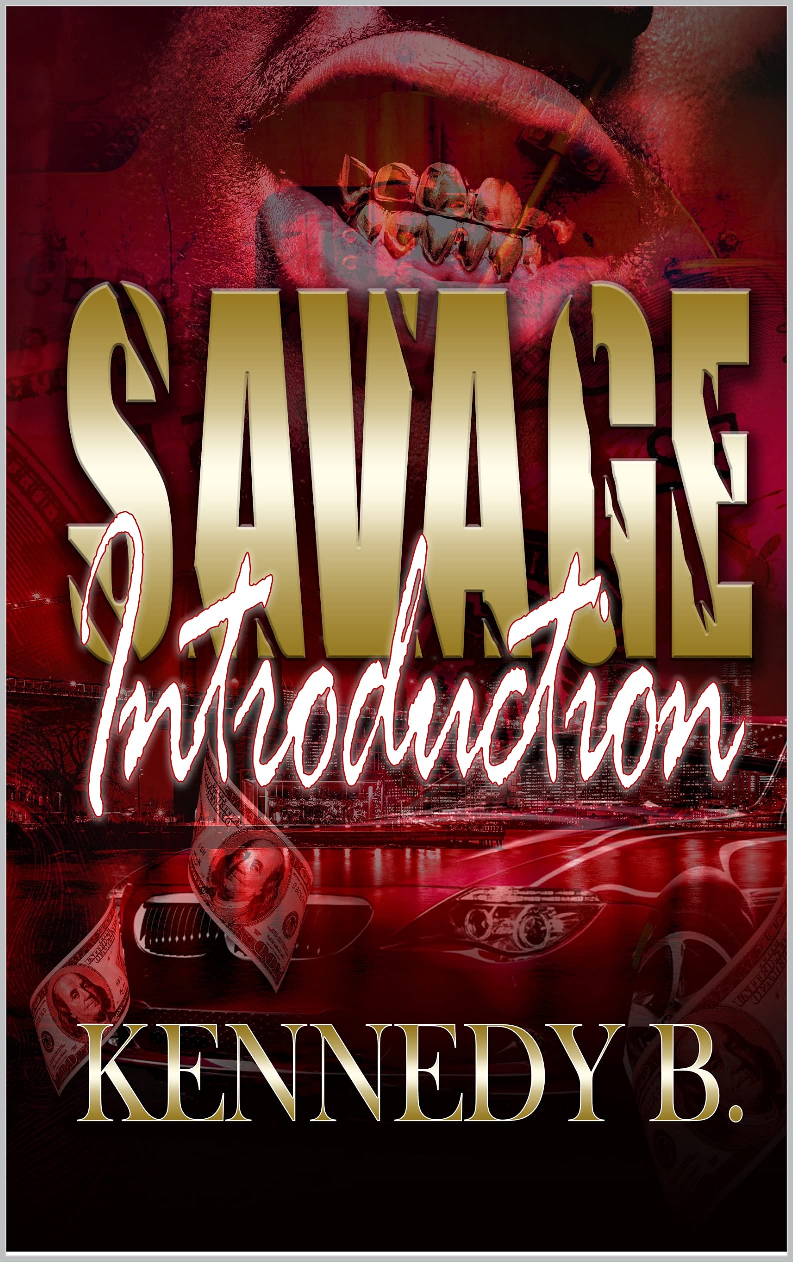 Savage Introduction book cover