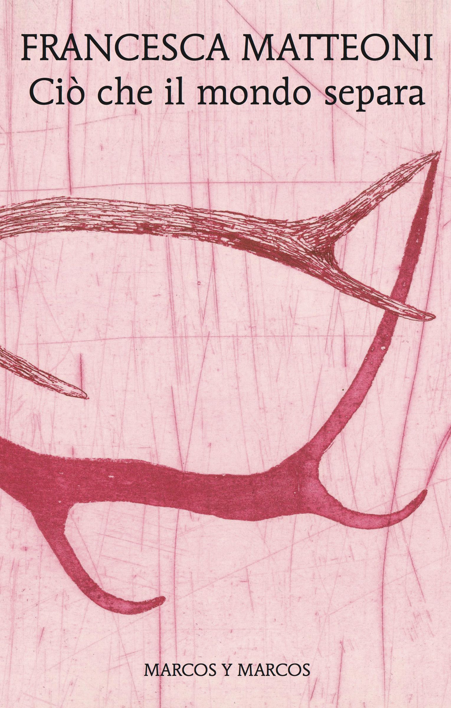 Ciò che il mondo separa book cover