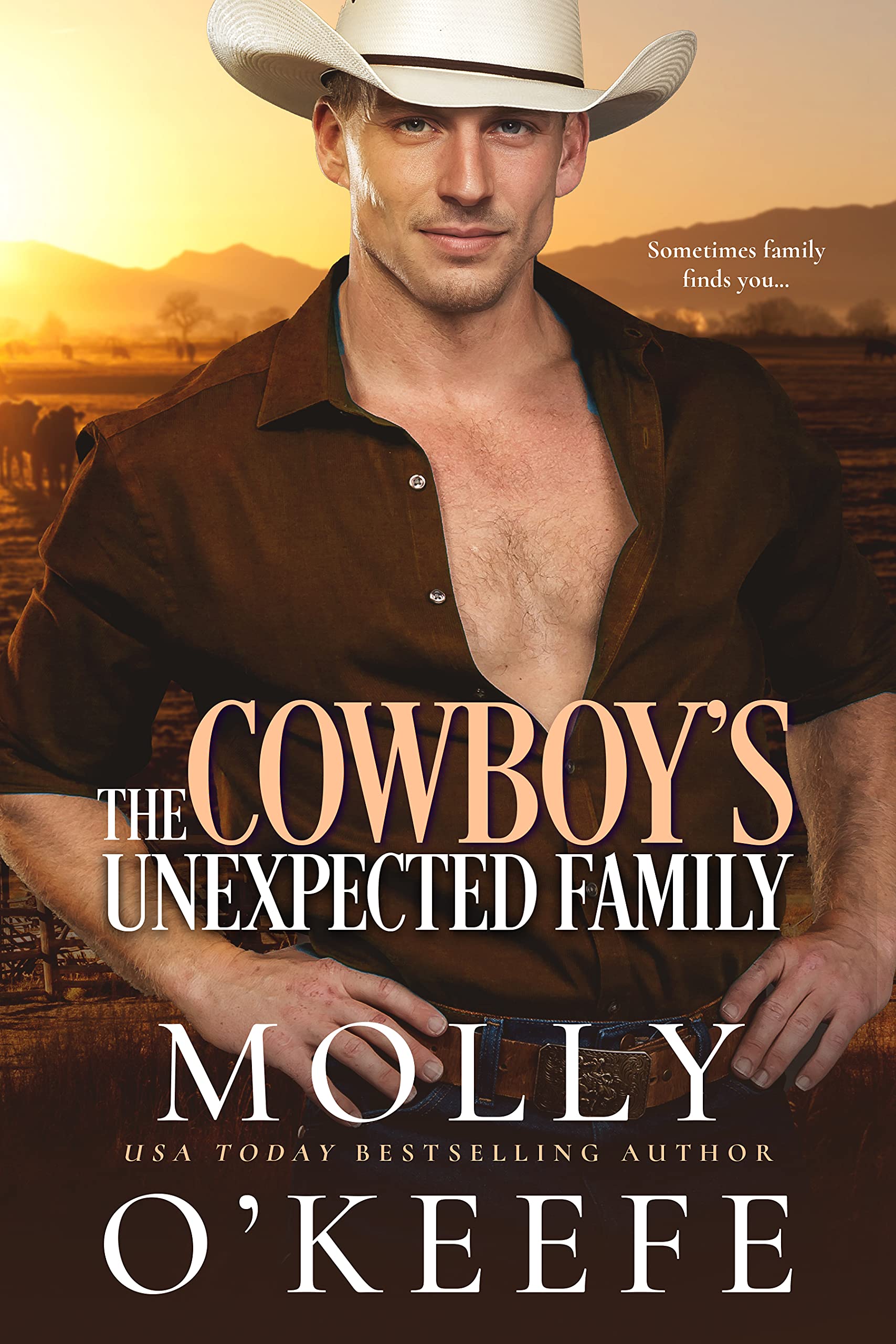 The Cowboy's Unexpected Family book cover