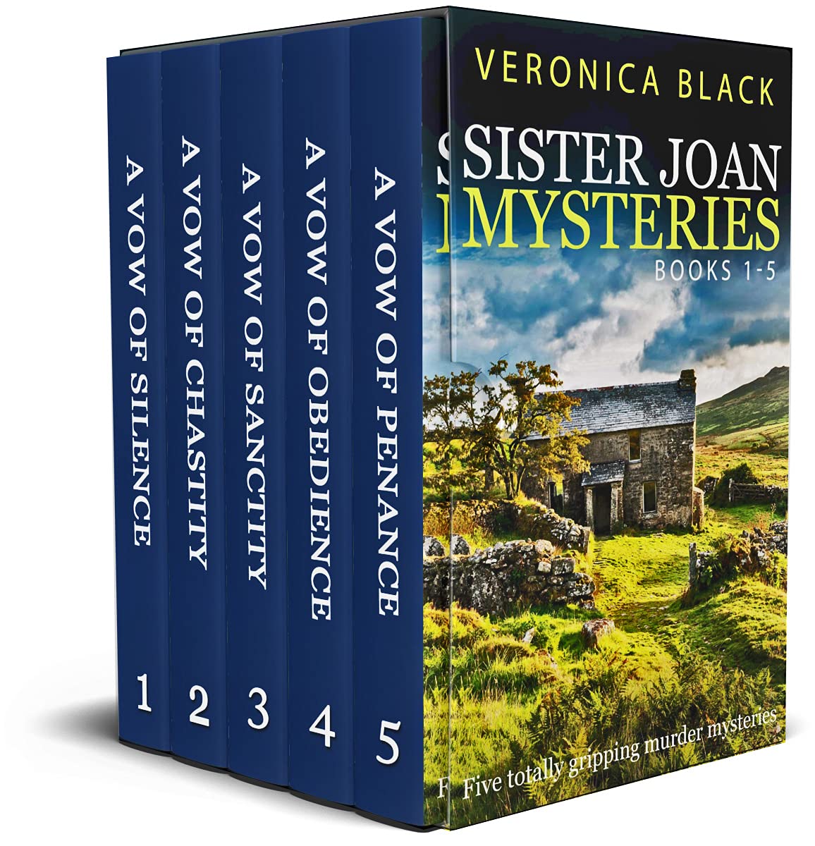 Sister Joan Mysteries #1-5: A Vow of Silence / A Vow of Chastity / A Vow of Sanctity / A Vow of Obedience / A Vow of Penance