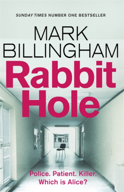 Rabbit Hole book cover