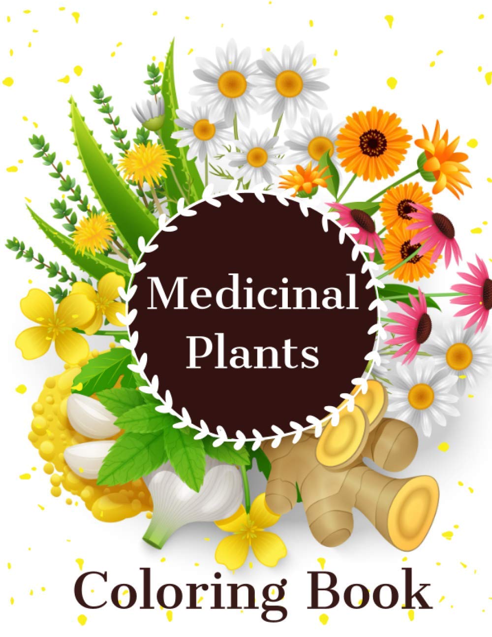 Medicinal Plants Coloring Book Wild Medicine Herbal Deck And Common Weeds Coloring Book by