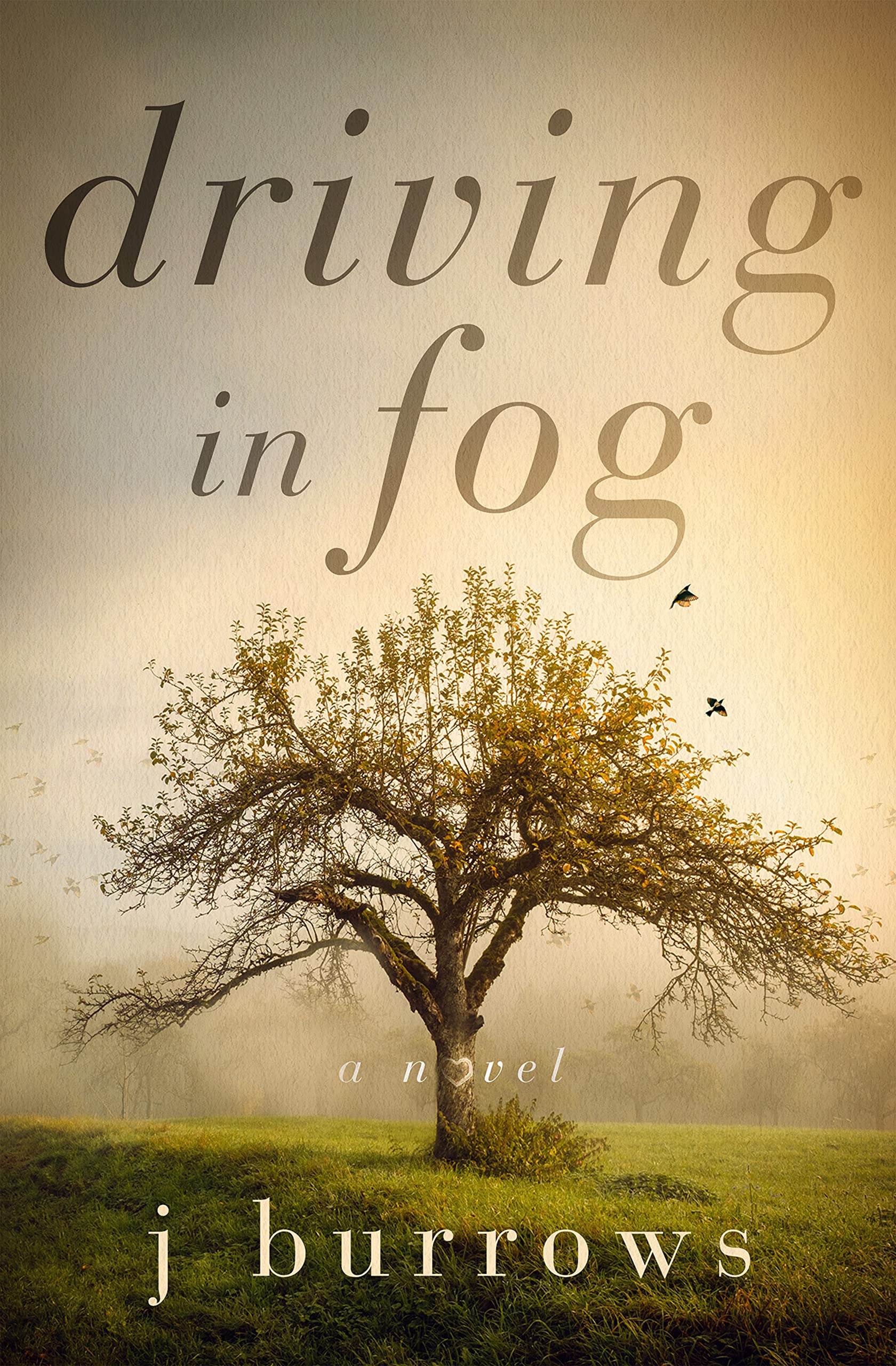 Driving in Fog