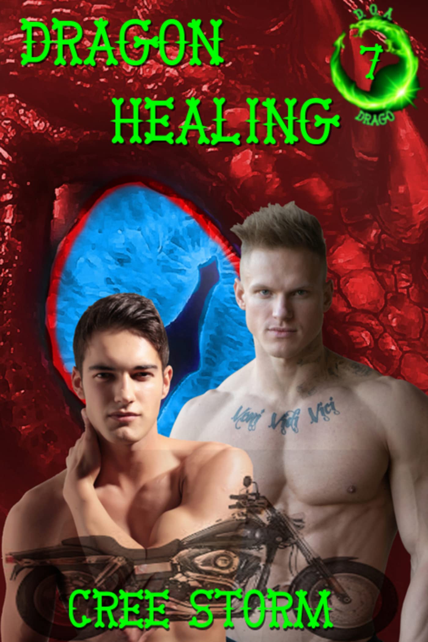 Dragon Healing book cover