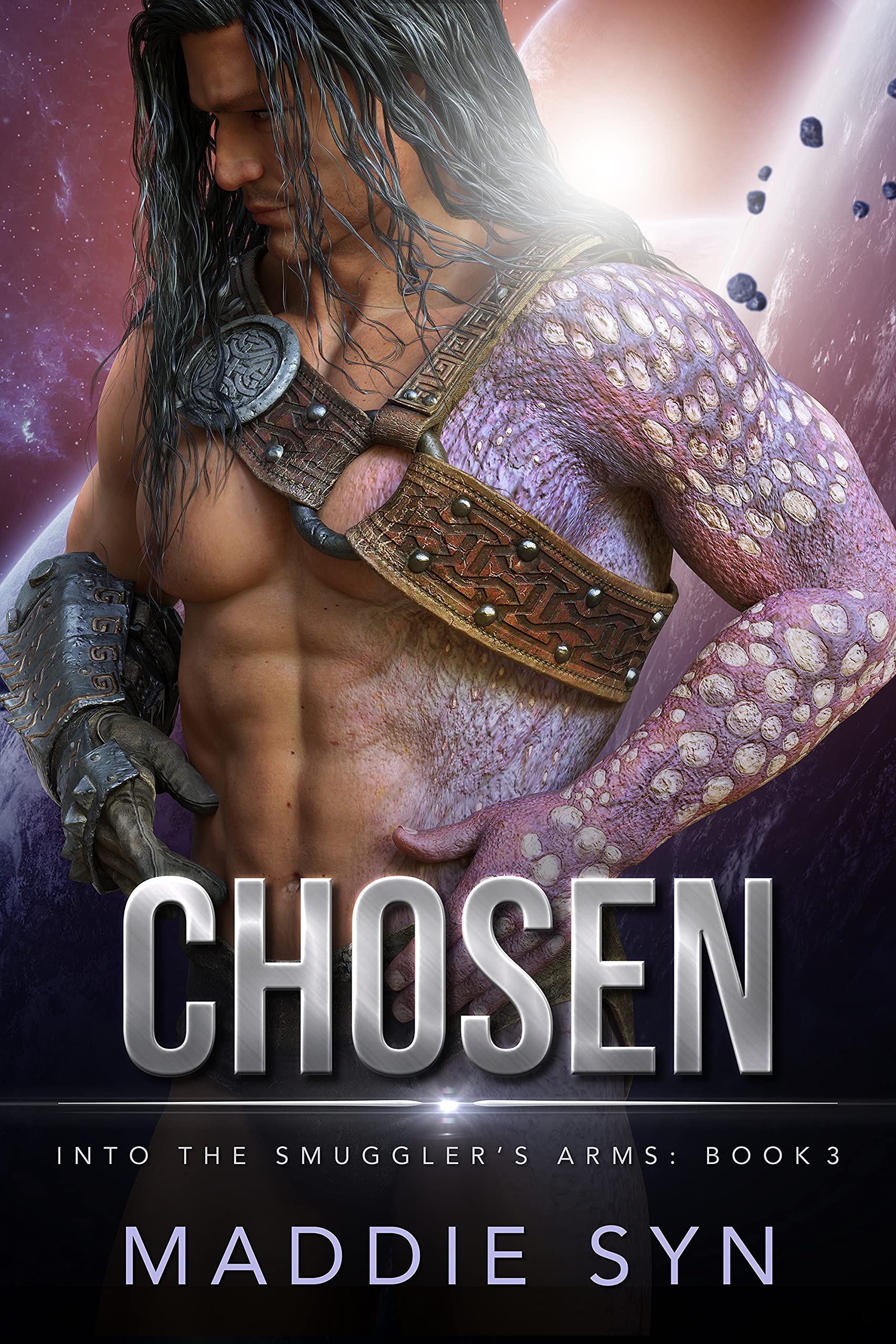 Into the Smuggler's Arms book cover 2