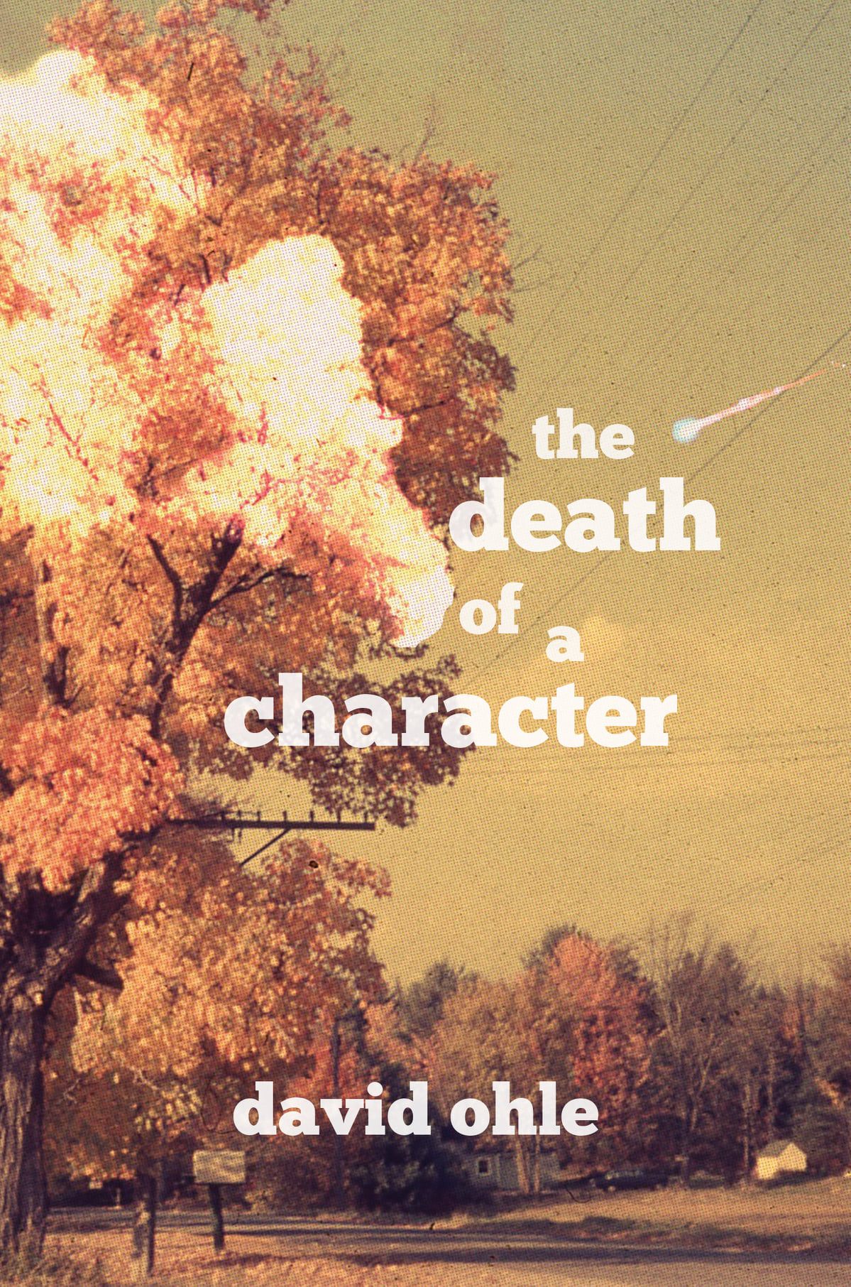 The Death of a Character book cover