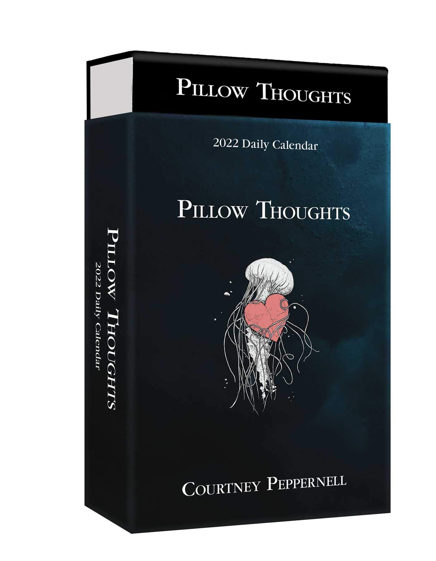 Pillow Thoughts 2022 Deluxe DaytoDay Calendar by Courtney Peppernell