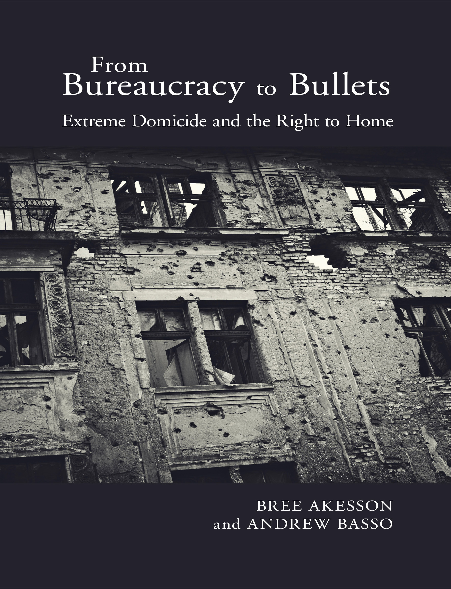Genocide, Political Violence, Human Rights book cover 3