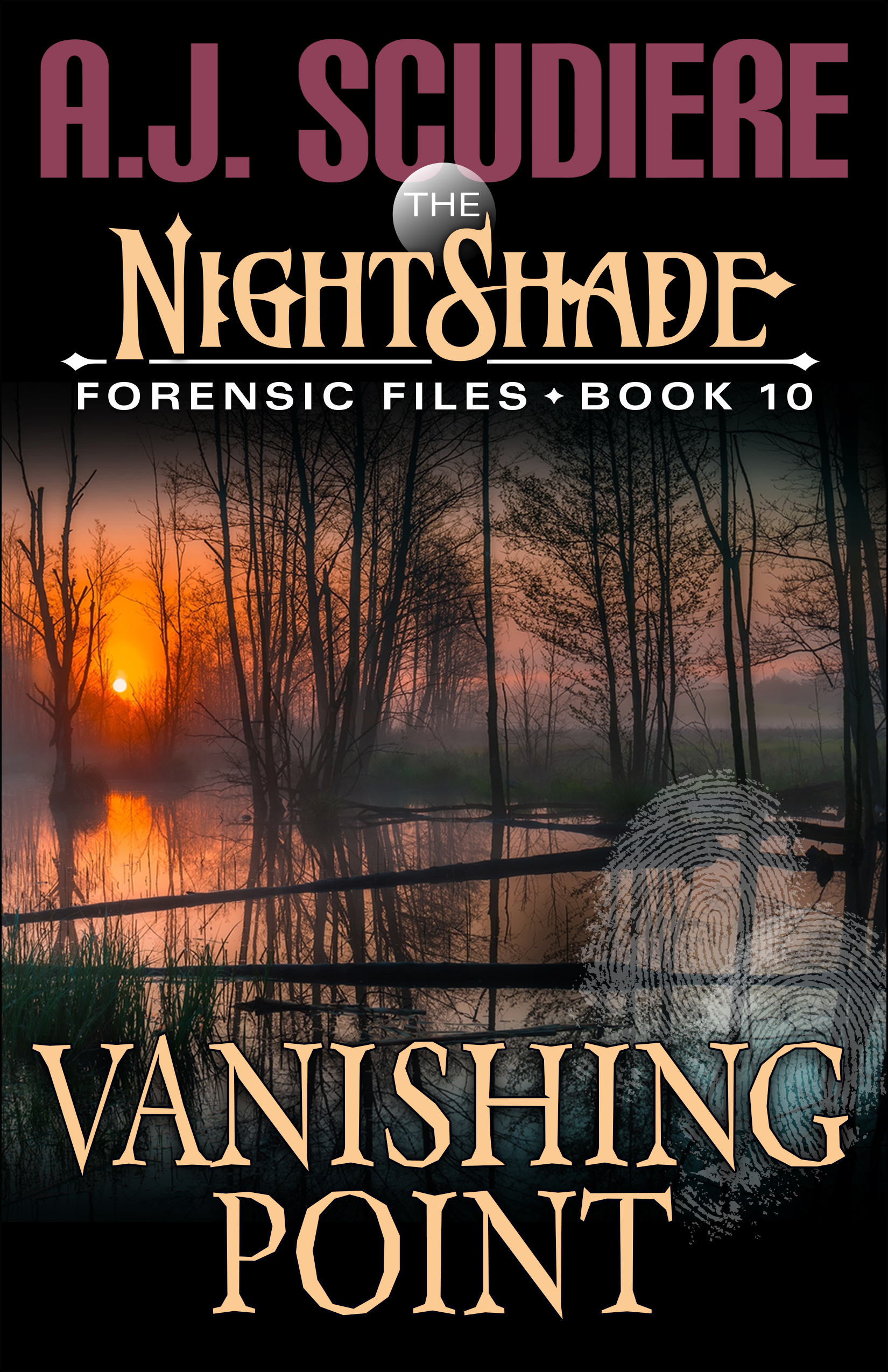 Vanishing Point book cover