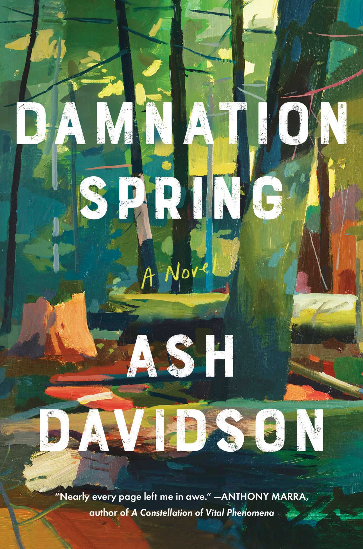 Cover of Damnation Spring by Ash Davidson