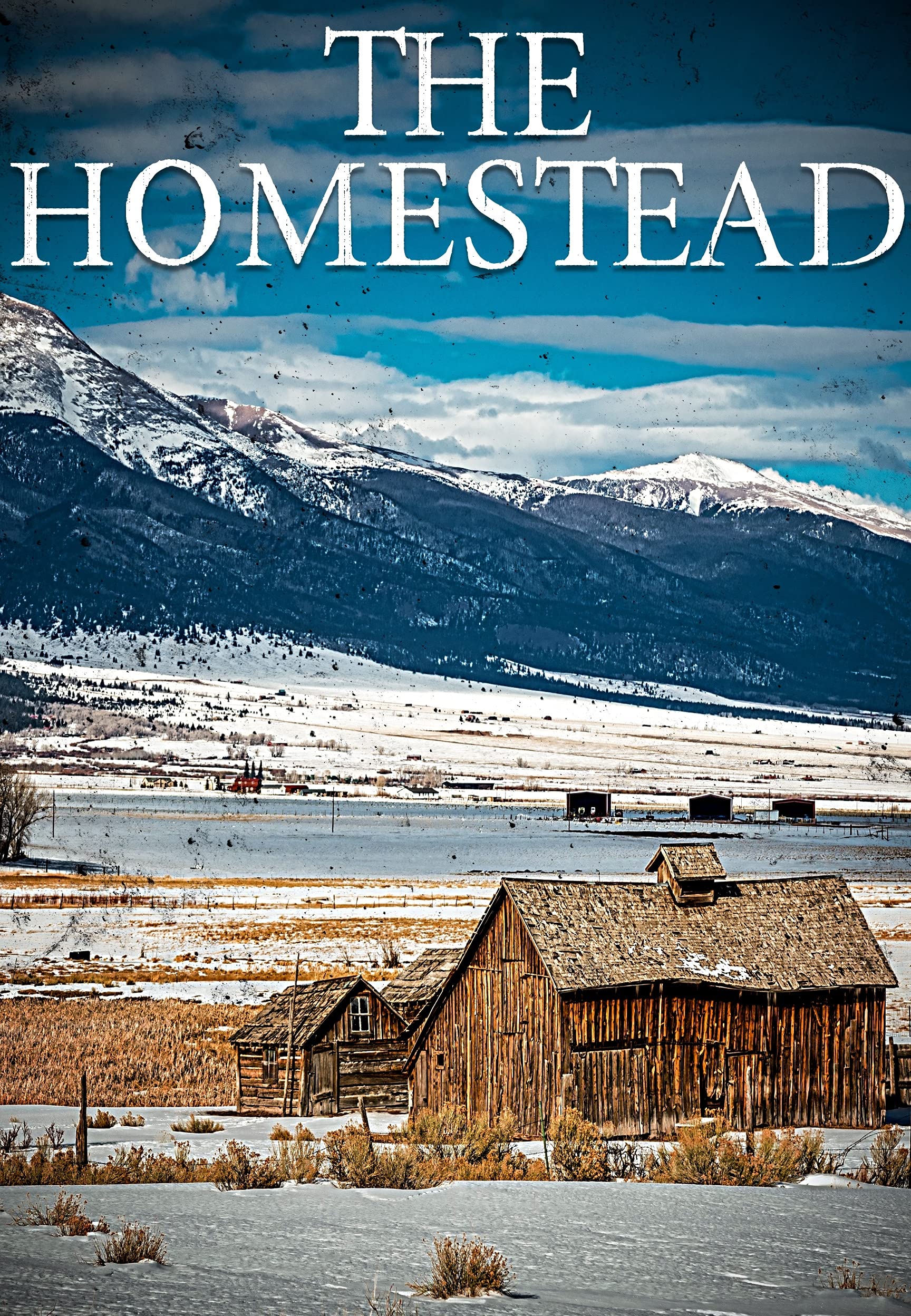 The Homestead EMP book cover
