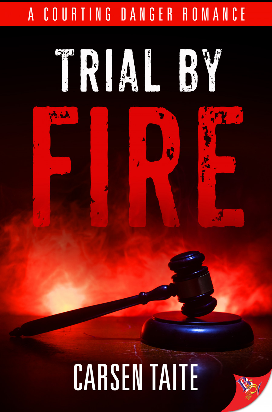 Trial by Fire book cover