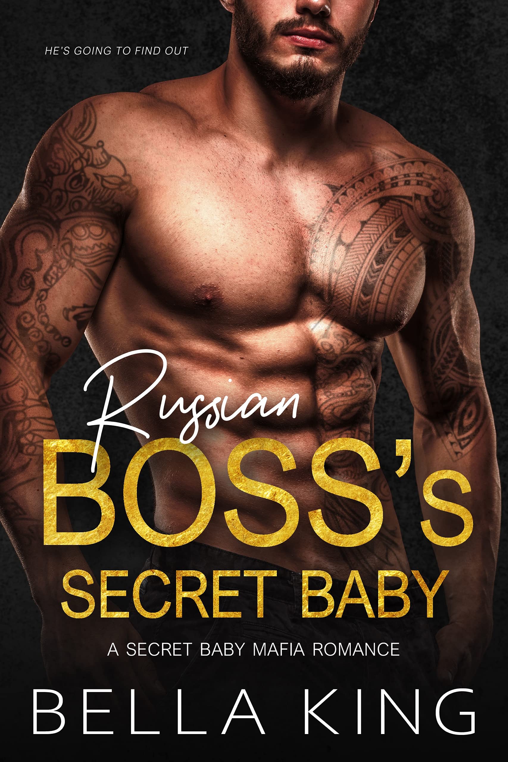 Russian Boss's Secret Baby book cover