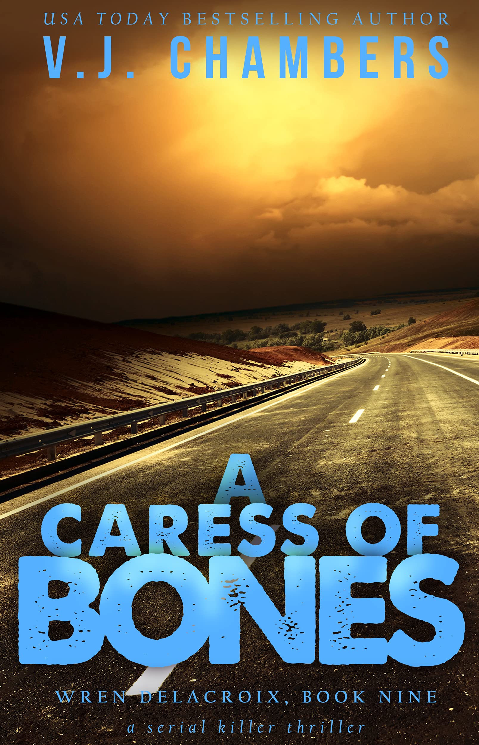 A Caress of Bones book cover