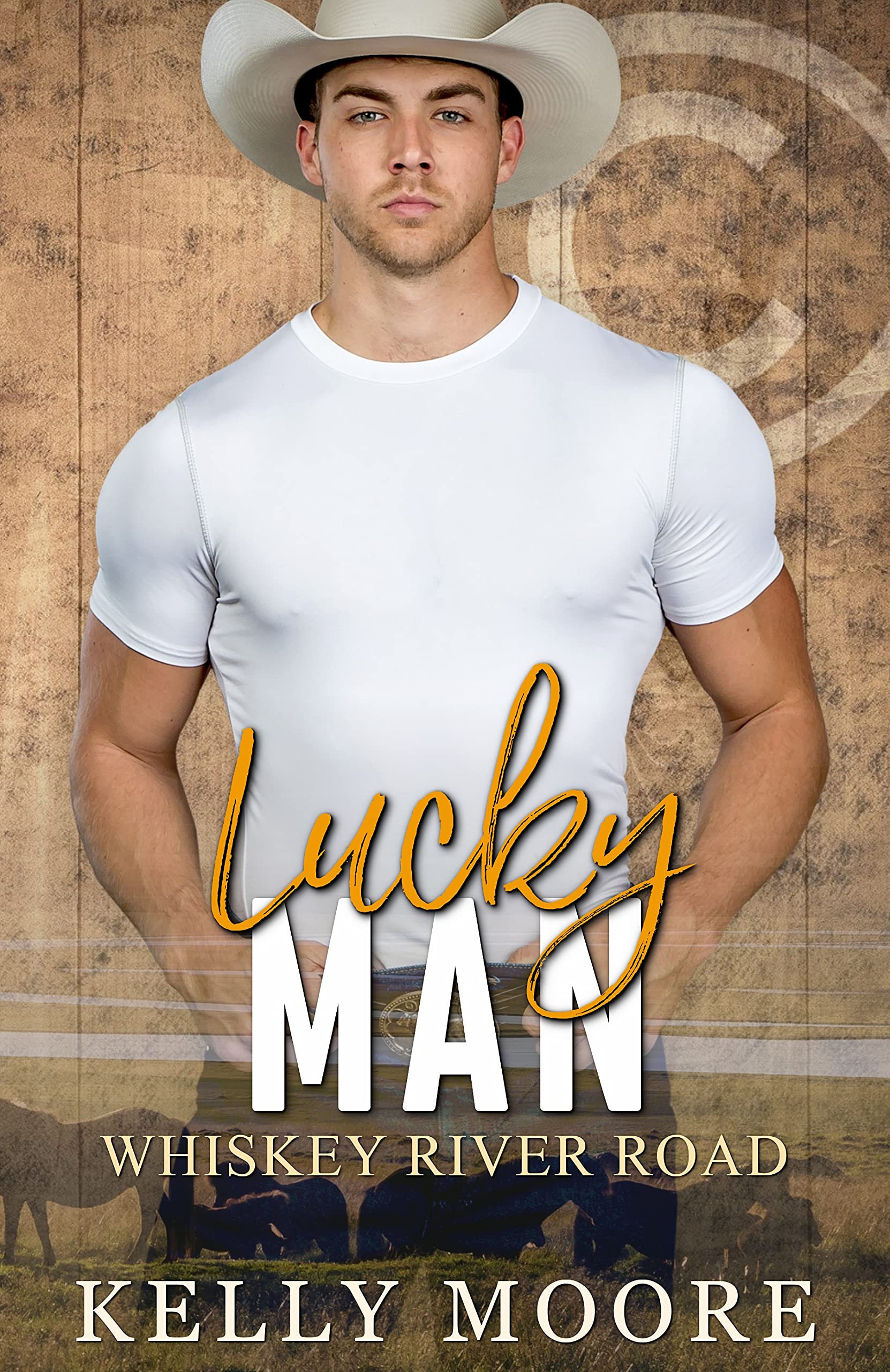 Lucky Man book cover