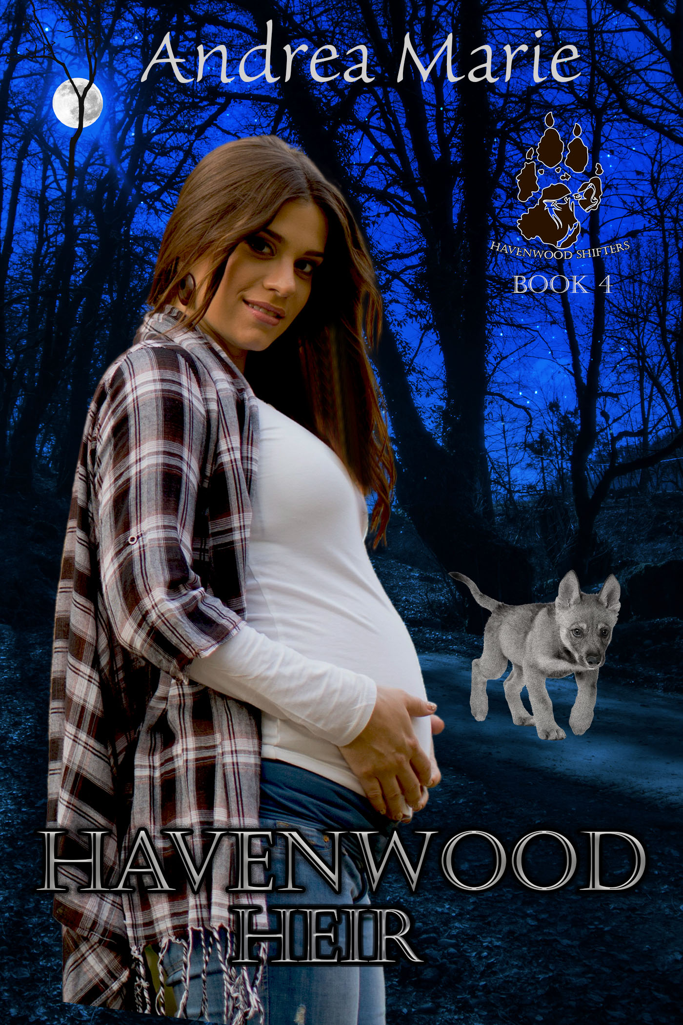 Havenwood Heir book cover
