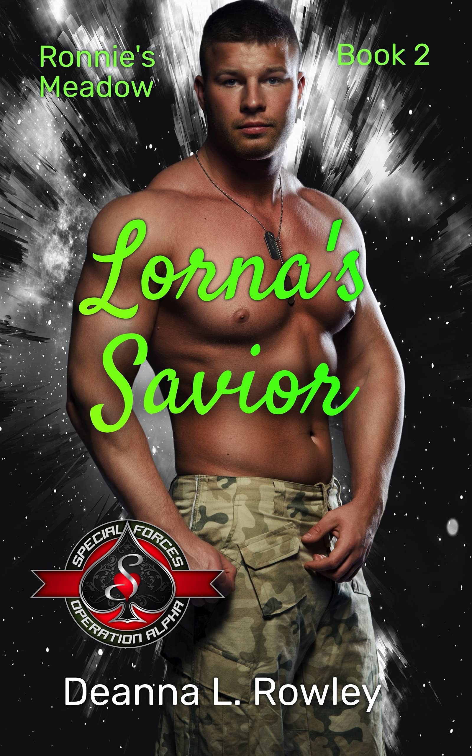 Ronnie’s Meadow book cover 2