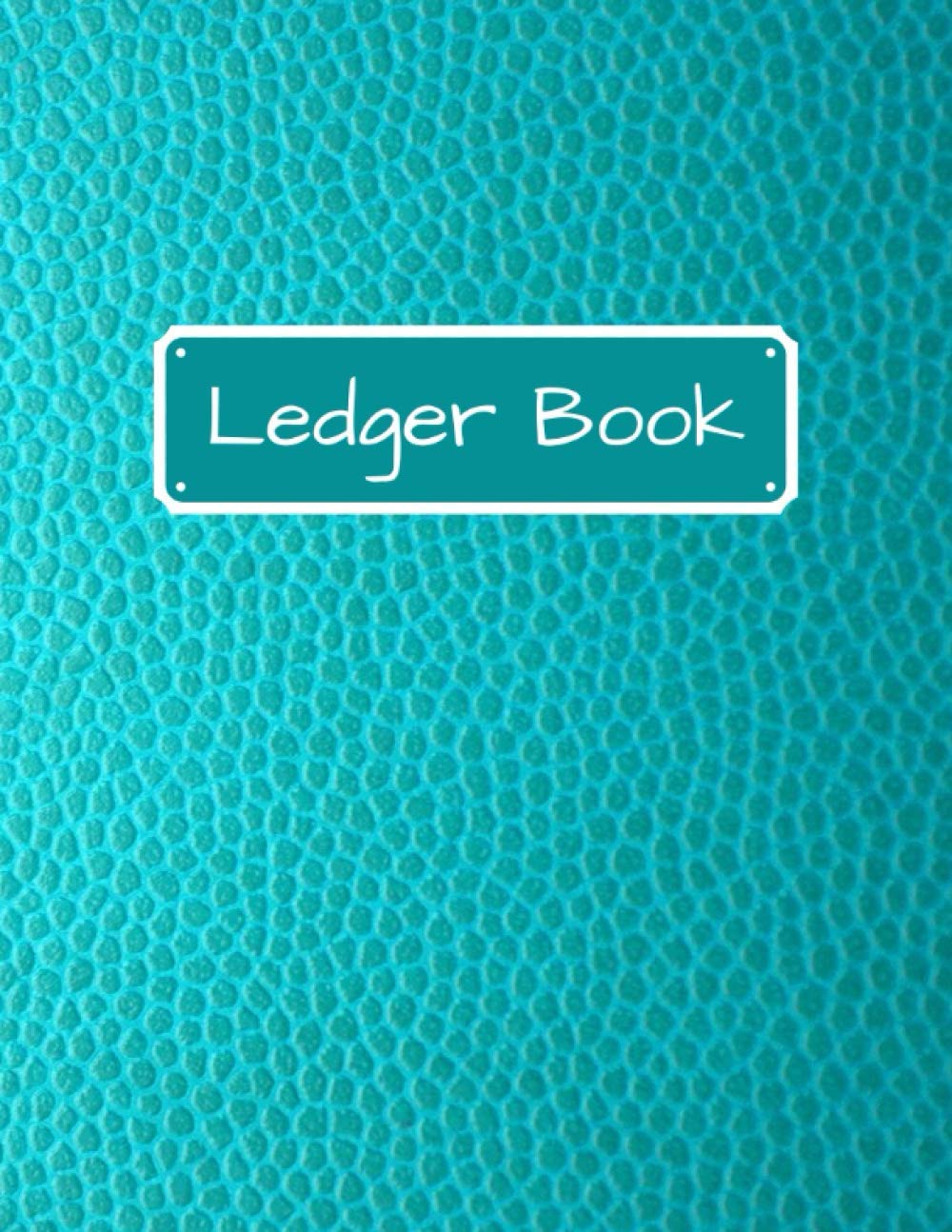 Ledger Book Accounting Ledger Book, Simple Accounting Ledger Books for